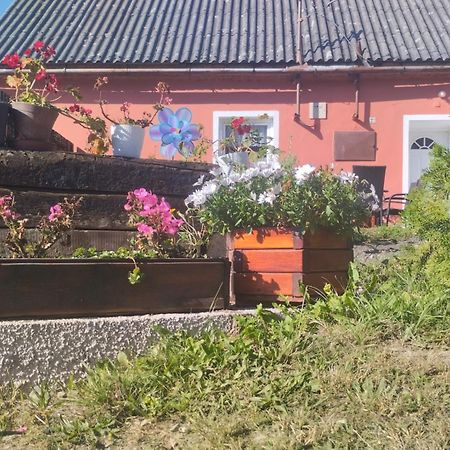 Leskovec Nad MoraviciUbytovani U Machalu别墅 外观 照片