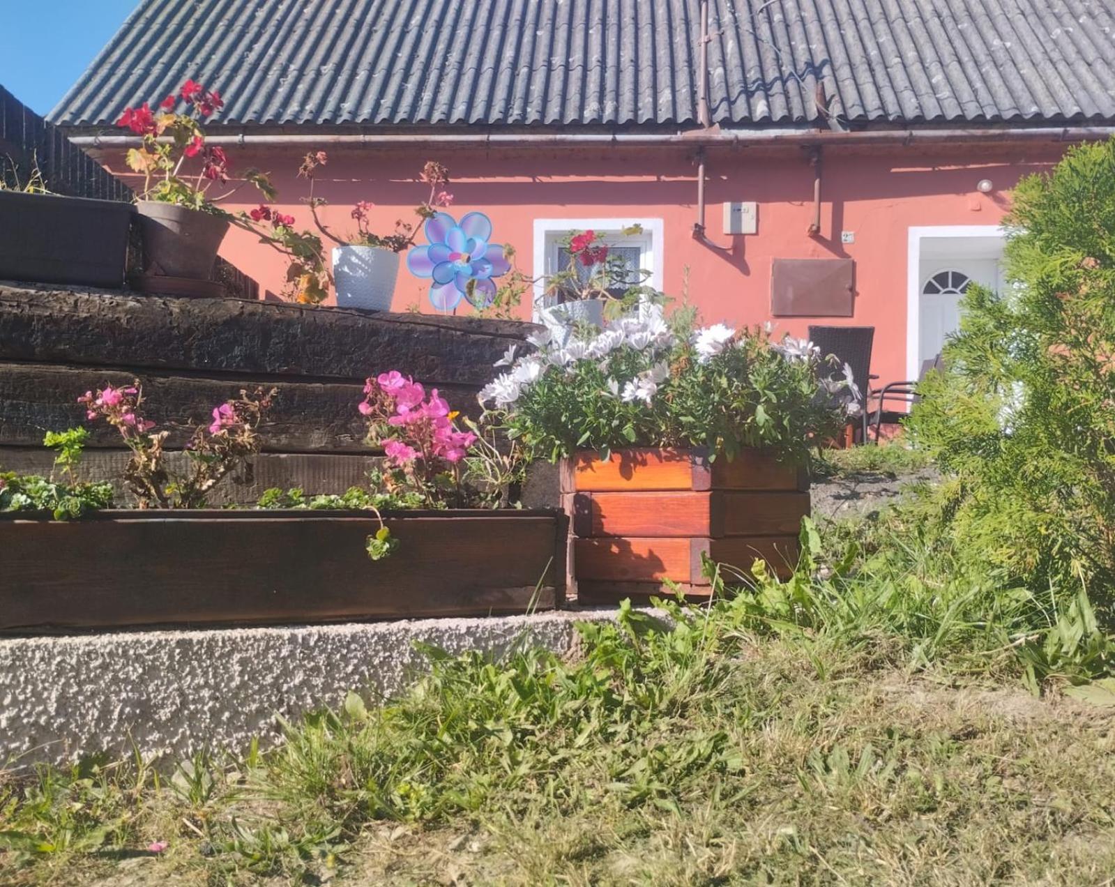 Leskovec Nad MoraviciUbytovani U Machalu别墅 外观 照片